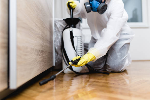 Best Pest Inspection Near Me  in Hampshire, IL