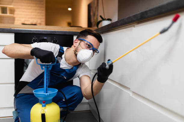 Best Pest Control Near Me  in Hampshire, IL