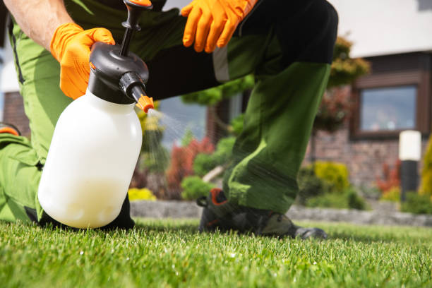 Pest Control Cost in Hampshire, IL
