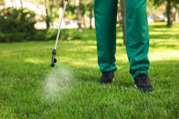 Best Termite Control Services  in Hampshire, IL