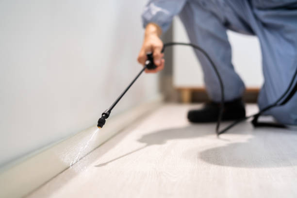 Best Wasp Removal Services  in Hampshire, IL