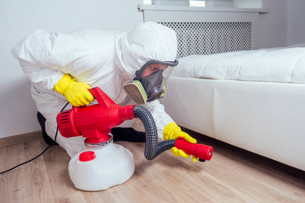Best Local Pest Control Services  in Hampshire, IL