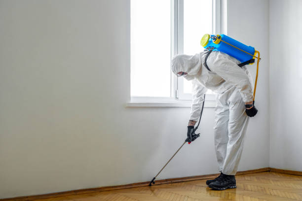 Best Best Pest Control Companies  in Hampshire, IL