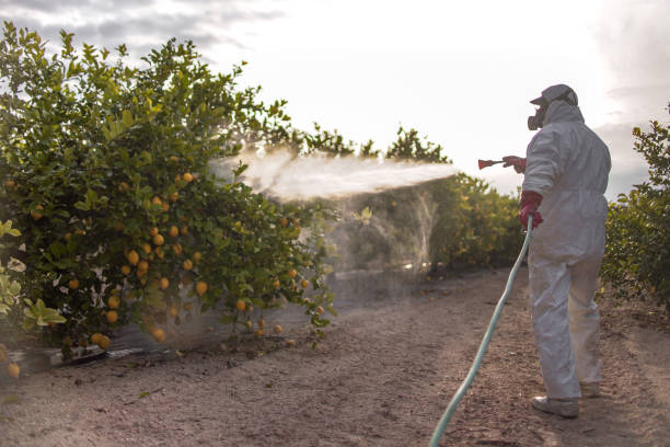 Best Residential Pest Control  in Hampshire, IL