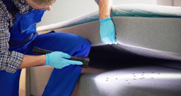 Best Best Pest Control Companies  in Hampshire, IL