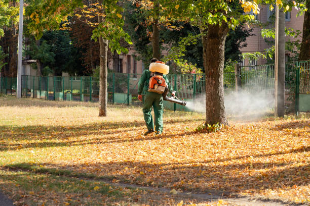 Best Emergency Pest Control  in Hampshire, IL