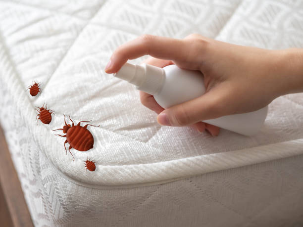 Best Ant Control Services  in Hampshire, IL