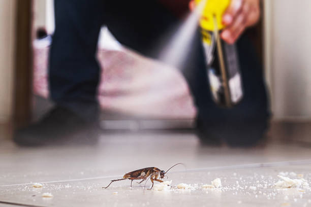 Best Pest Control Cost  in Hampshire, IL